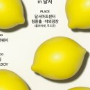 레몬 뮤직 페스티벌 in 달서 이미지