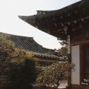 소규모돌잔치 대신 선택한 다온재 한옥스튜디오 돌스냅 촬영후기 #삼청동