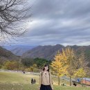 조은이티씨 | 가을은 춘천이에요..🍂 [노을스테이 펜션] 독채 후기를 곁들인 여행 일기 어때