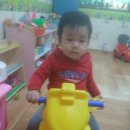 숲사랑어린이집 이미지