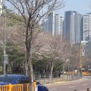 마니산산채 | [파주 운정] 호수공원 한식당 마니산산채 운정점 방문후기