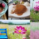 신원면-38 이미지