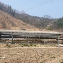 상동길 Daum카페