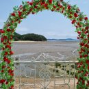 오션이니스프리 펜션 이미지