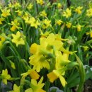 형제농원 이미지