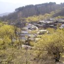 밤재 등산로 네이버블로그