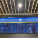 영포타운301호 | #19.1.25-26;)포항여행[대구-포항](죽도시장 간식/송도해수욕장/영포회타운 흥정하기)