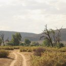 화산체육공원1 이미지
