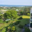 메르벨르A 이미지