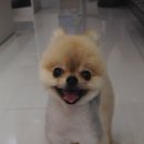 모글리하우스 이미지