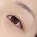 도리브로우(DORI BROW) | 화정동 속눈썹펌 맛집,유지력 최강인 “브로우에이”