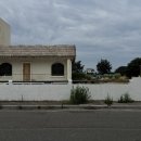 스테이 다로 2 이미지