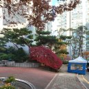 DODAM 도담 나무공방 이미지