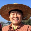 꽃씨네돌담집