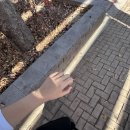 풍년당구장 이미지