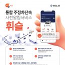 주정차27 머니투데이