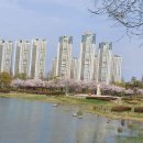 남문시장네거리 교통섬 | 수도권 단풍 트레킹 완벽 가이드! 경기도 걷기 좋은 가을 산책 명소 베스트 10과 숨겨진 힐링 숲길 총정리!