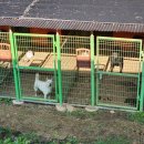 예술과 함께 방학여행 go~go | 웰니스in충북 체험단 충주 슬로우파머 숲트래킹 산마늘페스토 아이랑 솔직후기