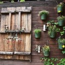 허브내음 이미지