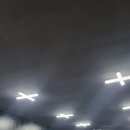 다편다덴트