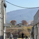 안성맞춤대로 | 안성 평강공주 보호소ㅣ이효리님이 순심이 입양했던 유기견 보호소 봉사 다녀온 솔직 후기