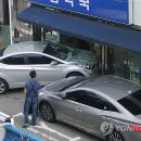 진보약국 이미지