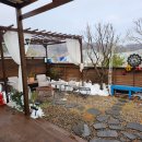 티나펜션 | 애견동반 가능한 용인독채 펜션 티나펜션