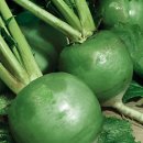 오작교농장 이미지