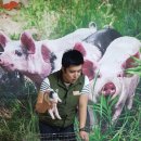 동물학교 - 미니 돼지와 동굴거미 이미지