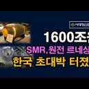 한국 SMR 초대박, 1000조원, 원전 르네상스 30년 먹고 산다. 시대정신연구소 이미지