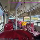 광일여객 이미지