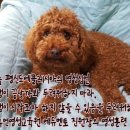 다울에듀 이미지
