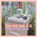 [갤대서 3기] 강남역 10번 출구 1분 거리 삼성 강남 방문 후기 ❤️