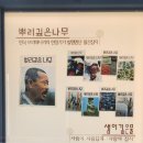 순천뿌리깊은나무박물관 소장 월왕전 책판 | 뿌리깊은나무박물관, 태백산맥문학관과 시문학파기념관