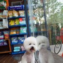 트리밍아유 이미지