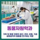 강원가축인공수정소 | 대학 학과정보 안내 "동물자원학과"검단신도시.검단 Y.B 영어수학 전문학원.