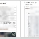 안전대장
