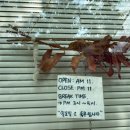 렌야 | 청라 스시, 청라 초밥-청라5단지 맛집 렌야 내돈내산 후기