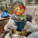 효사랑요양원 2호점 | 일산 동구 요양원 찾는다면 효사랑요양원 가족 같은 분위기