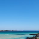 표선해수욕장(주차장) 이미지