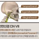 화정탑한의원 이미지