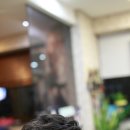 파리스헤어 이미지