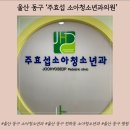 주효섭소아청소년과의원 | [울산] 울산 동구 전하동 병원/소아과/소아청소년과의원 - 주효섭 소아청소년과의원 방문 후기 🏥