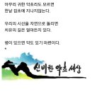 청도 감따기 벙개 입니다 이미지