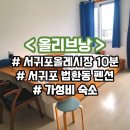 올리브낭 이미지