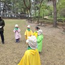 🌳숲 선생님(적목련선생님)과 함께한 원광대학교 수목원에서 숲 활동🌳 이미지