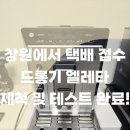 엘레타