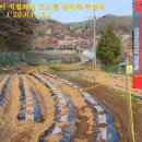 새봄농장 이미지