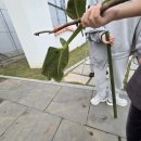 지학농장 이미지