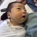 육단1세천 | 둘째 모로반사를 지켜줄 육오빠 코끼리 모로반사스트랩 후기